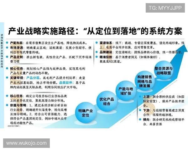 探索当代企业家引领创新与社会责任协调发展战略路径系统化深度研究