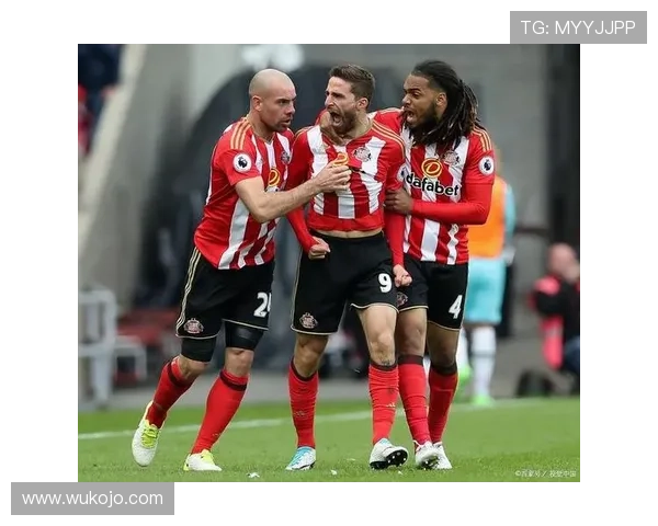 桑德兰中场丹尼尔尼尔租借加盟伊普斯维奇